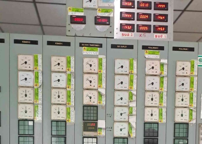 Copy of 20241218_120426